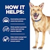 Hill S Prescription Diet Derm Defense Environmental Sensitivities Chicken Flavor Dry Dog Food 25 Lbs Bag Petco