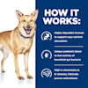Hill S Prescription Diet I D Digestive Care With Turkey Canned Dog Food 13 Oz Case Of 12 Petco