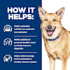 Hill S Prescription Diet Derm Defense Environmental Sensitivities Chicken Flavor Dry Dog Food 25 Lbs Bag Petco
