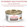 Royal Canin Gastrointestinal Moderate Calorie Wet Cat Food 3 Oz Case Of 24 Petco
