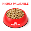 Royal Canin Veterinary Diet Satiety Support Small Breed Dry Dog Food 6 6 Lbs Petco