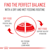 Royal Canin Veterinary Diet Renal Support E Enticing Wet Dog Food 13 5 Oz Case Of 24 Petco