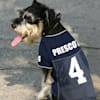 dak prescott dog jersey