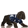 dak prescott dog jersey