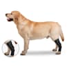 Zenpet Orthowrap Hock Latex Free Compression Wrap For Dogs Large Petco