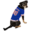 rangers dog jersey