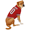 carolina hurricanes dog jersey