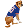 islanders dog jersey