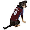 colorado avalanche dog jersey