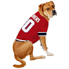 Canadiens dog jersey clearance