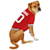 dog blackhawks jersey