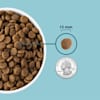 acana freshwater fish formula