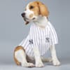 aaron judge dog jersey