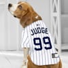 Aaron judge dog jersey