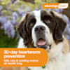 Advantage Multi Topical Solution For Dogs 55 1 To 88 Lbs 6 Month Supply Petco