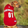 cincinnati reds dog jersey