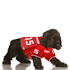 mahomes pet jersey
