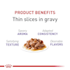 Royal Canin Feline Health Nutrition Spayed Neutered Thin Slices In Gravy Canned Cat Food 3 Oz Case Of 24 Petco