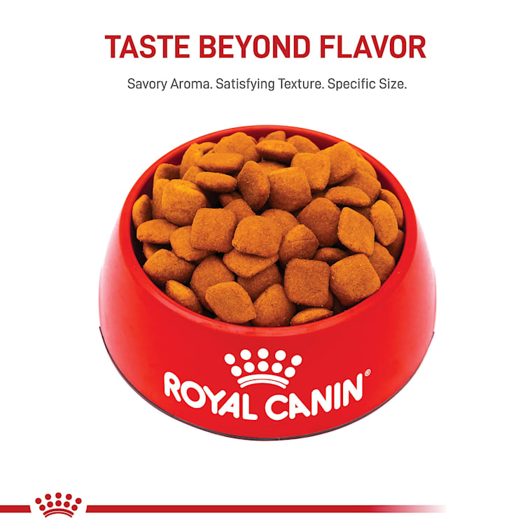 Royal Canin Breed Health Nutrition Golden Retriever Adult Dry Dog Food 30 Lbs Petco