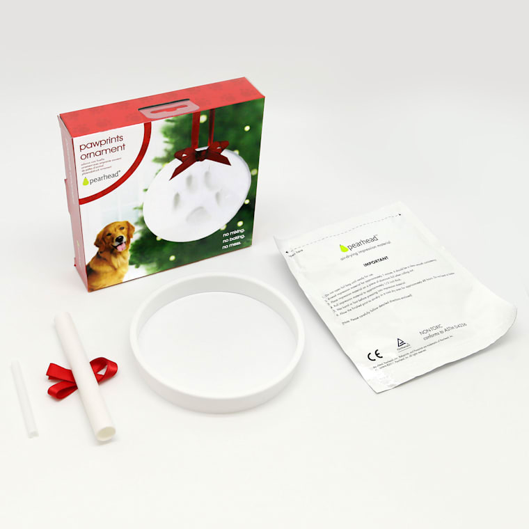 dog paw ornament kit