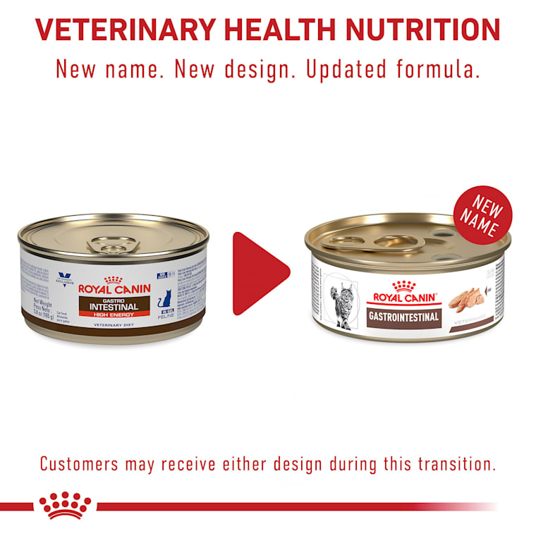 Royal Canin Veterinary Diet Feline Gastrointestinal High Energy In Gel Wet Canned Cat Food 5 8 Oz Case Of 24 Petco