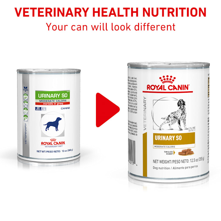 Royal Canin Urinary So Moderate Calorie Wet Dog Food 12 5 Oz Case Of 24 Petco