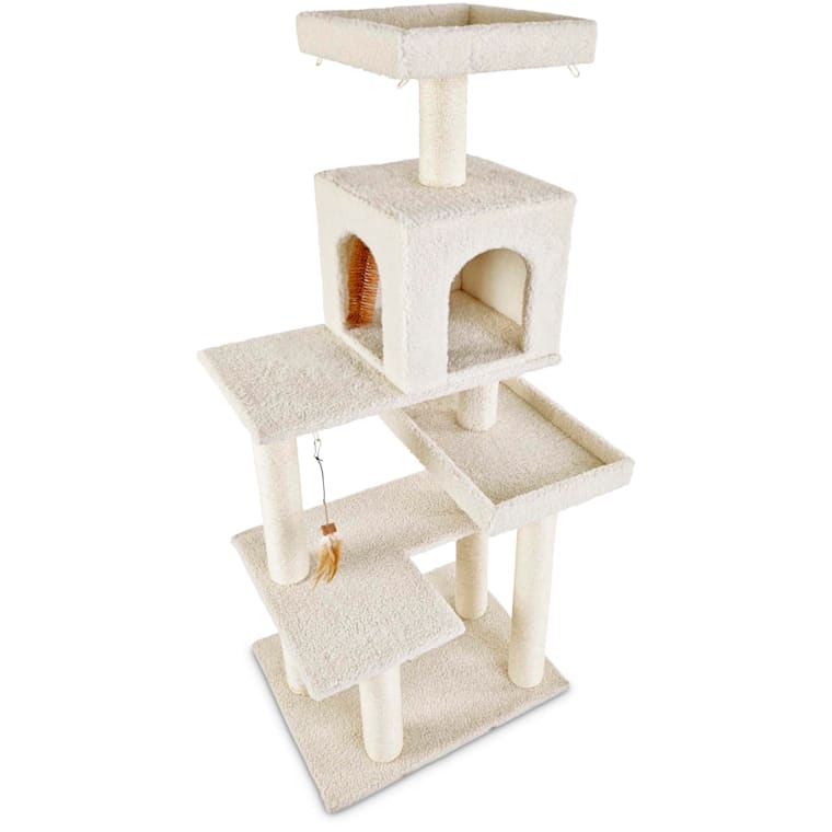 Cat Tree Near Me