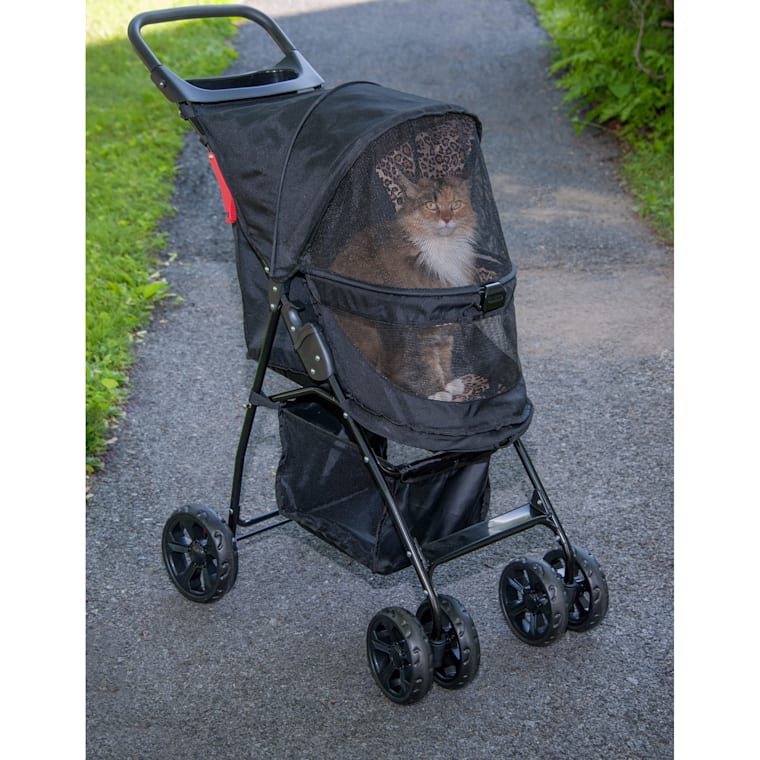 discovery stroller wagon Radio Flyer Stroll 'N with Canopies, Folding Wagon with Single Recline Seat, for 1+ Years : Toys & Games Frontgate umbrellas are arriving! 5 ft. safety and style Color:Black with Nordic Grey