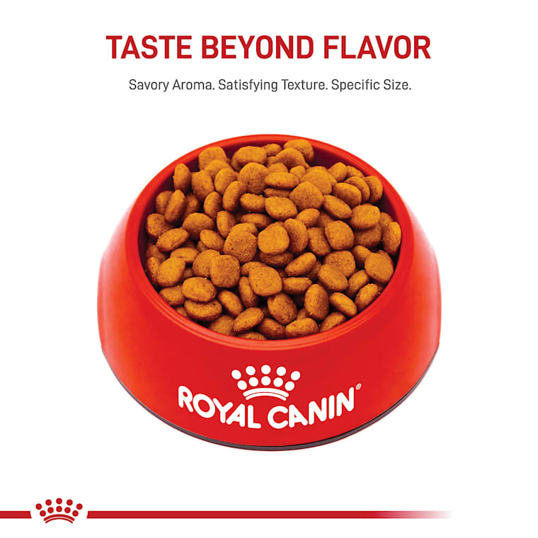 Royal Canin Breed Health Nutrition Cavalier King Charles Adult Dry Dog Food 10 Lbs Petco