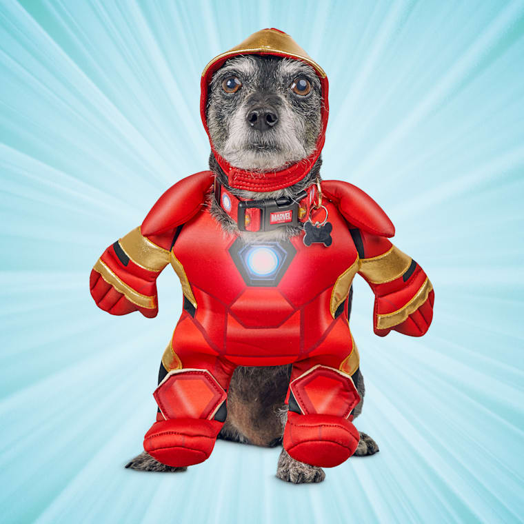 Marvel Avengers Iron Man Light Up Illusion Suit Dog Costume Medium Petco