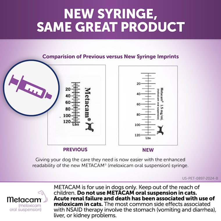 Metacam 1 5 Mg Ml Oral Suspension 10 Ml Petco