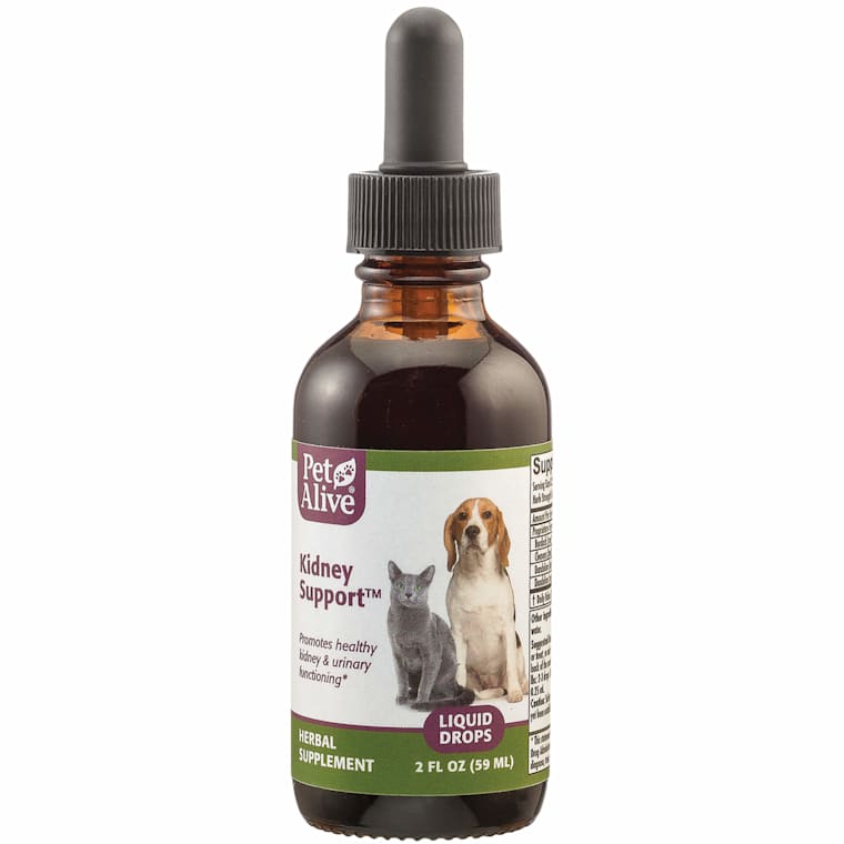 Petalive Natural Herbal Kidney Support Liquid Dog And Cat Supplement 2 Fl Oz Petco