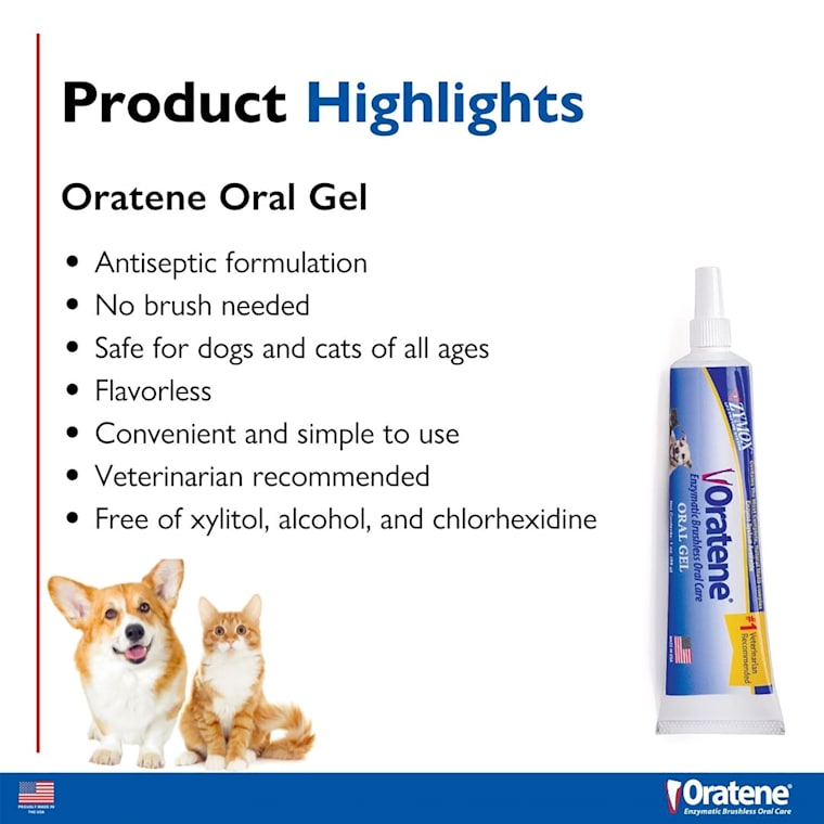 Zymox Oratene Oral Gel, 1 fl. oz. | Petco