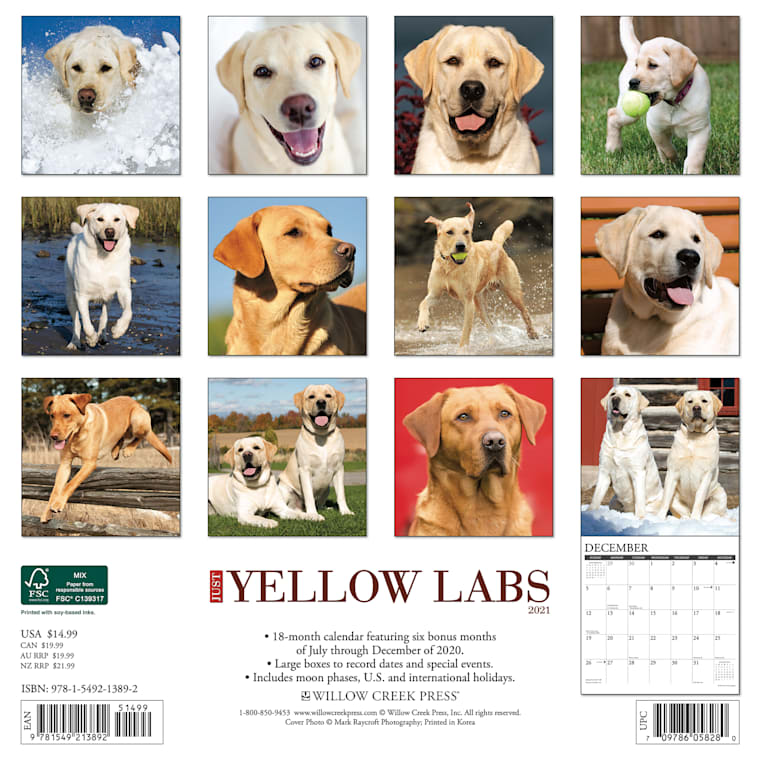 yellow lab calendar 2021