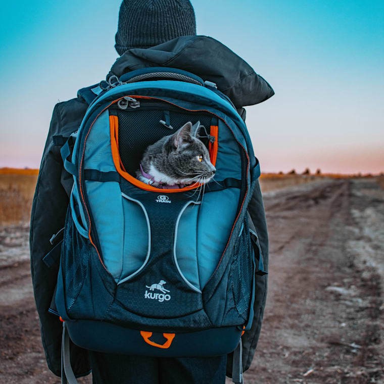 patagonia duffel black hole 55L Weight-639