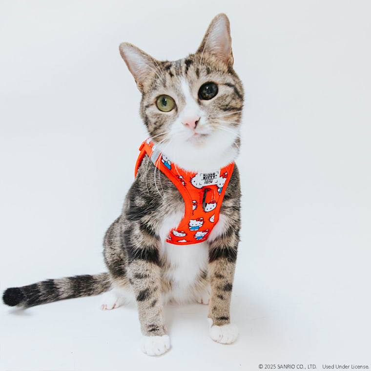 Sassy Meow Hello Kitty Red Cat Harness, X-Small | Petco
