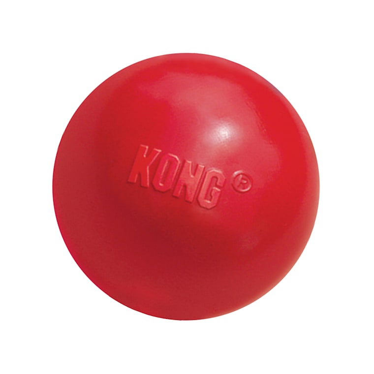 Kong Ball Dog Toy Small Petco
