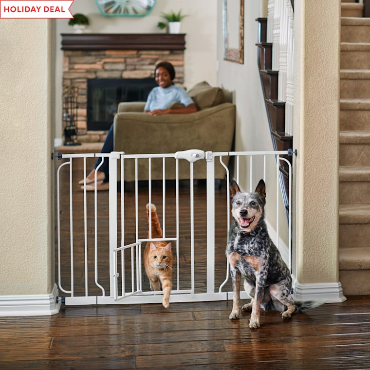 You Me Extra Wide Walk Thru Pet Gate 29 52 W X 30 H Petco