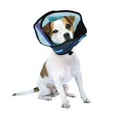 Zen collar petco Clearance