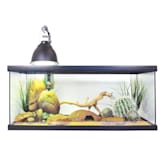 Zilla premium desert kit petco clearance