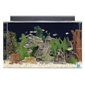 aqueon led 29 aquarium kit