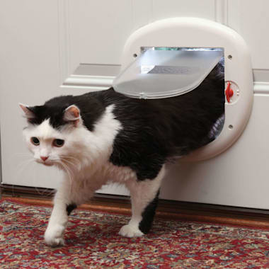 4 Way Locking Cat Door For Interior Door Pet Gate Dog Door Cat Flap With Telescoping Frame For Window Door Continue To The Product At Th Koshachij Domik Domiki