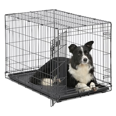 Midwest Icrate Single Door Folding Dog Crate 36 L X 23 W X 25 H Petco