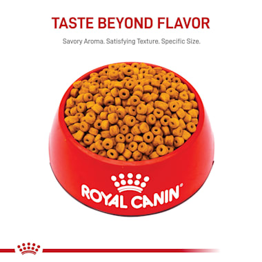 Royal Canin Breed Health Nutrition Labrador Retriever Puppy Dry Dog Food 30 Lbs Petco