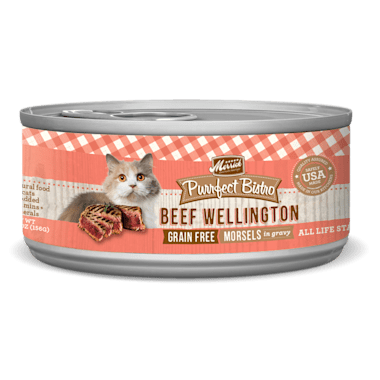 Merrick Purrfect Bistro Grain Free Beef Wellington Wet Cat Food 5 5 Oz Case Of 24 Petco