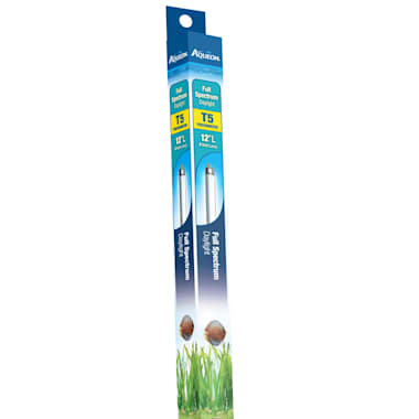 Aqueon Full Spectrum Daylight 8 Watts T5 Fluorescent Bulb 12 Length Petco