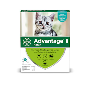 Advantage Ii Once A Month Cat Kitten Topical Flea Treatment 2 To 5 Lbs Petco