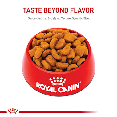 Royal Canin Breed Health Nutrition Rottweiler Adult Dry Dog Food 30 Lbs Petco