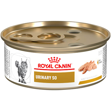 Royal Canin Urinary So Loaf In Sauce Wet Cat Food 5 8 Oz Case Of 24 Petco