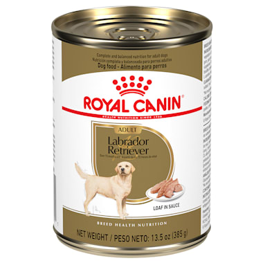 Royal Canin Breed Health Nutrition Labrador Retriever Loaf In Sauce Wet Dog Food 13 5 Oz Case Of 12 Petco